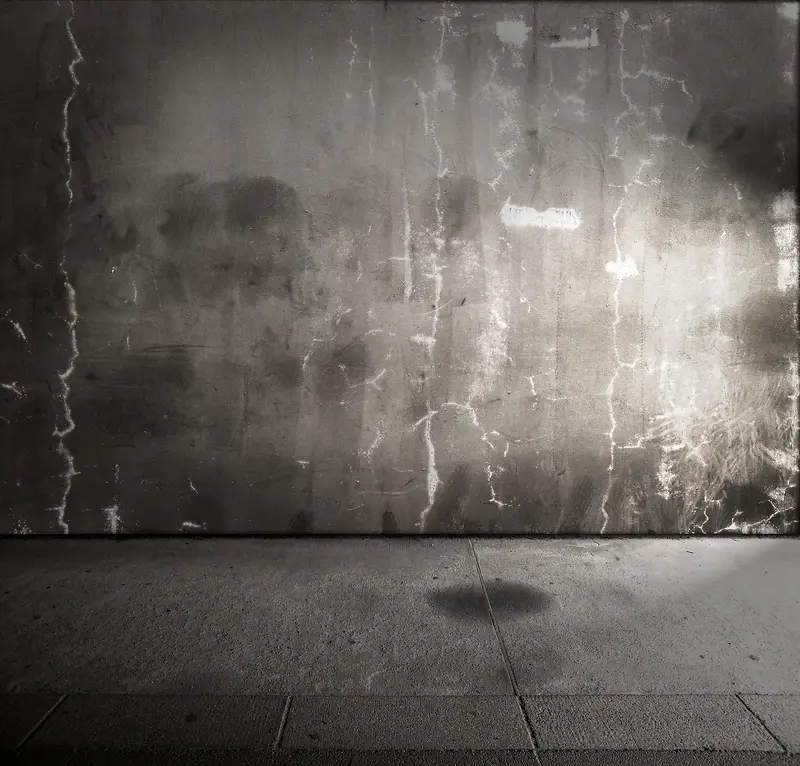 ǽ�ڵذ屳��-������