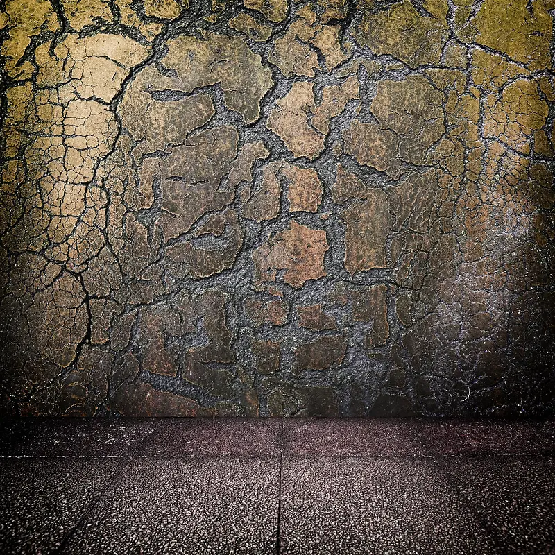 �����ѷ�ǽ�ڱ���-������