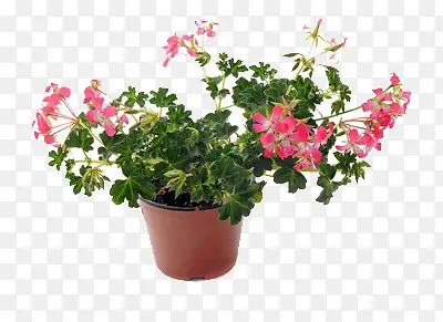 һ�賣����-������