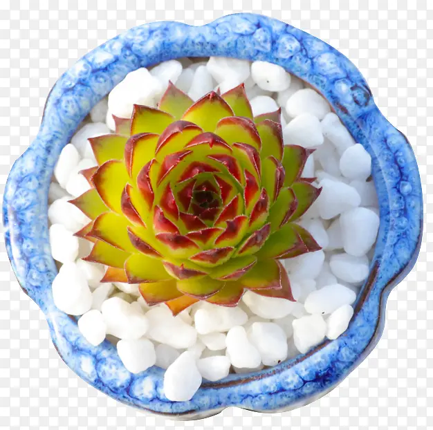 ������ ���ⳤ����ϵ�л���-������