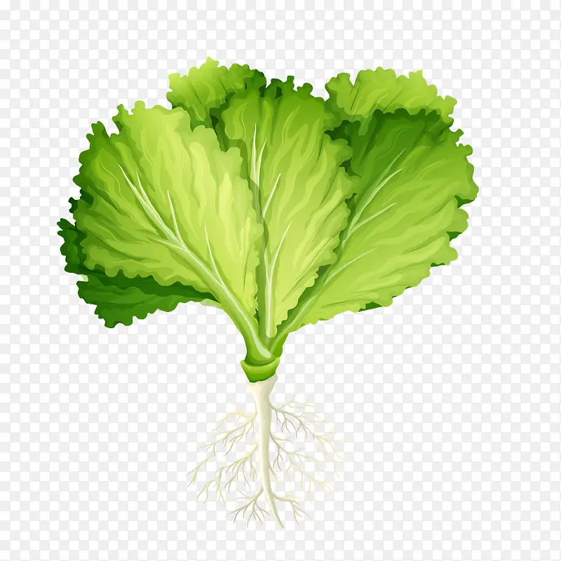 �ֻ��߲�-������