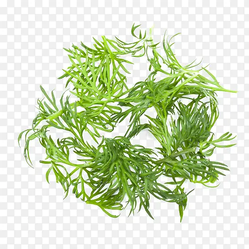 �߲�װ��-������