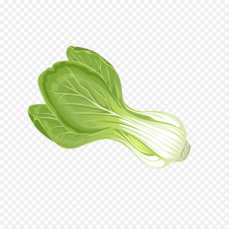 ��ͨ�߲�-������