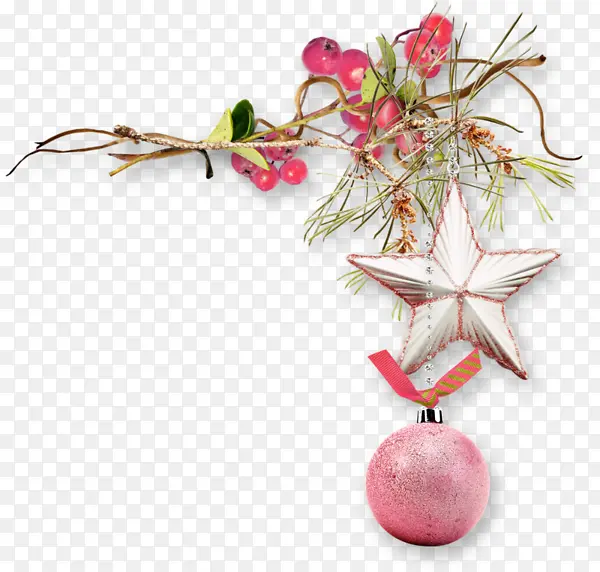 ʵ��ʥ�����ǵ�������-������