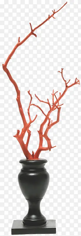 ������֦�ڼ�-������