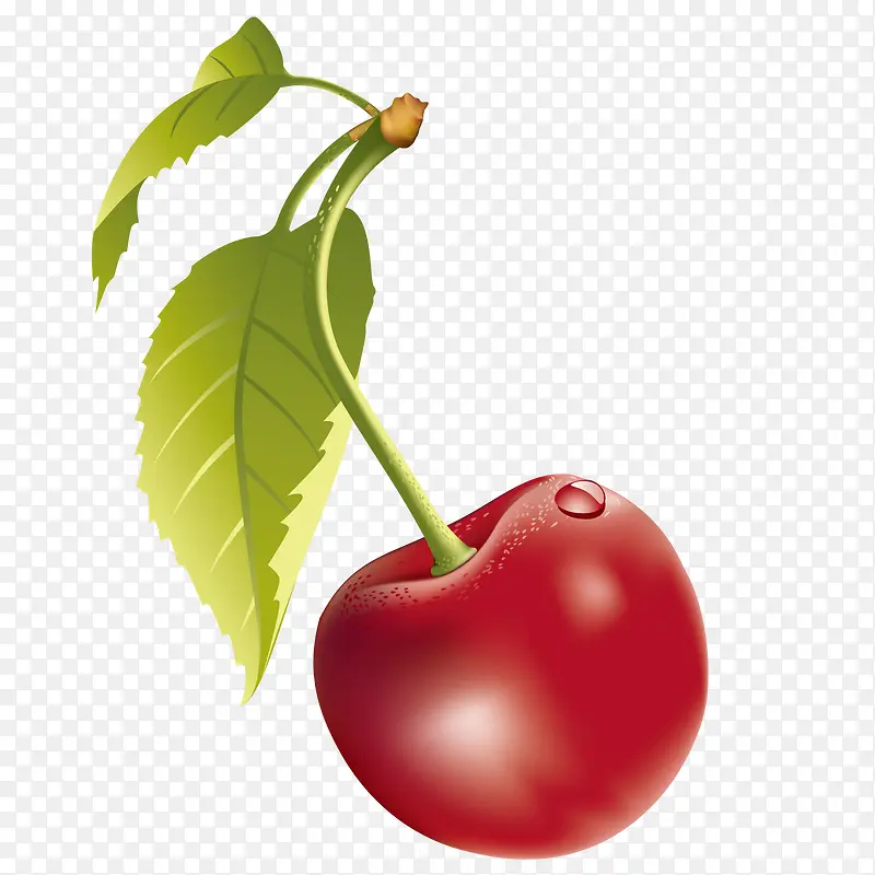 ʸ������ӣ��-������