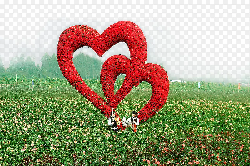 ����õ��-������