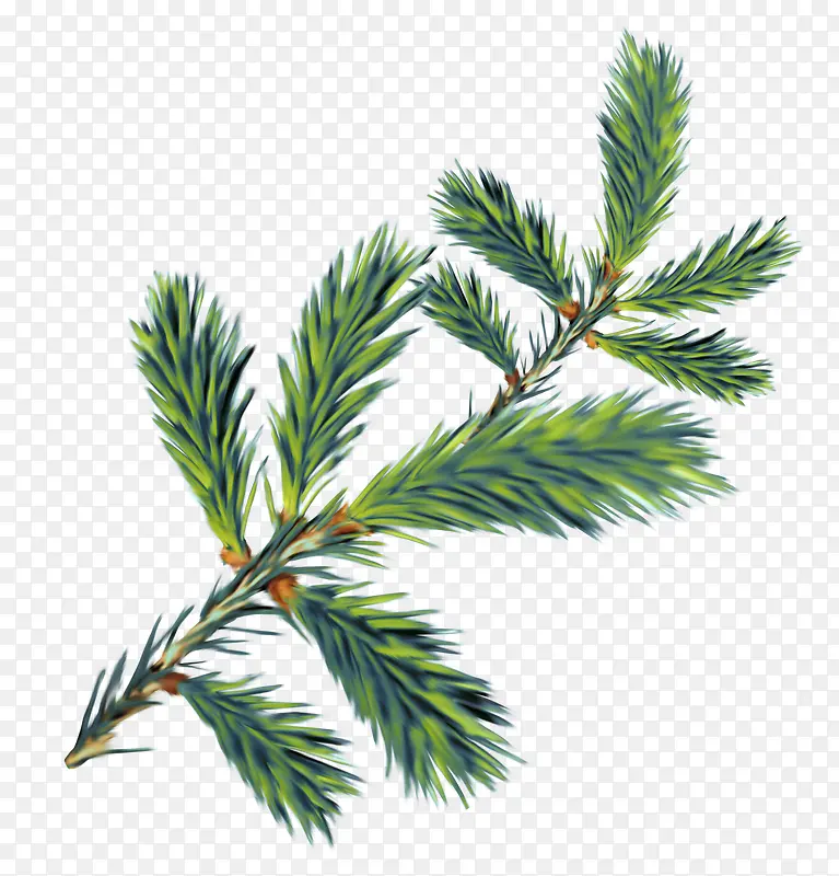 װ����ɫ ��֦-������