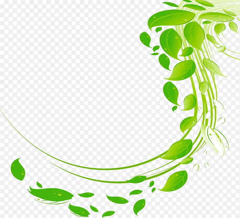 ��Ҷ��֦�߽�װ��-������