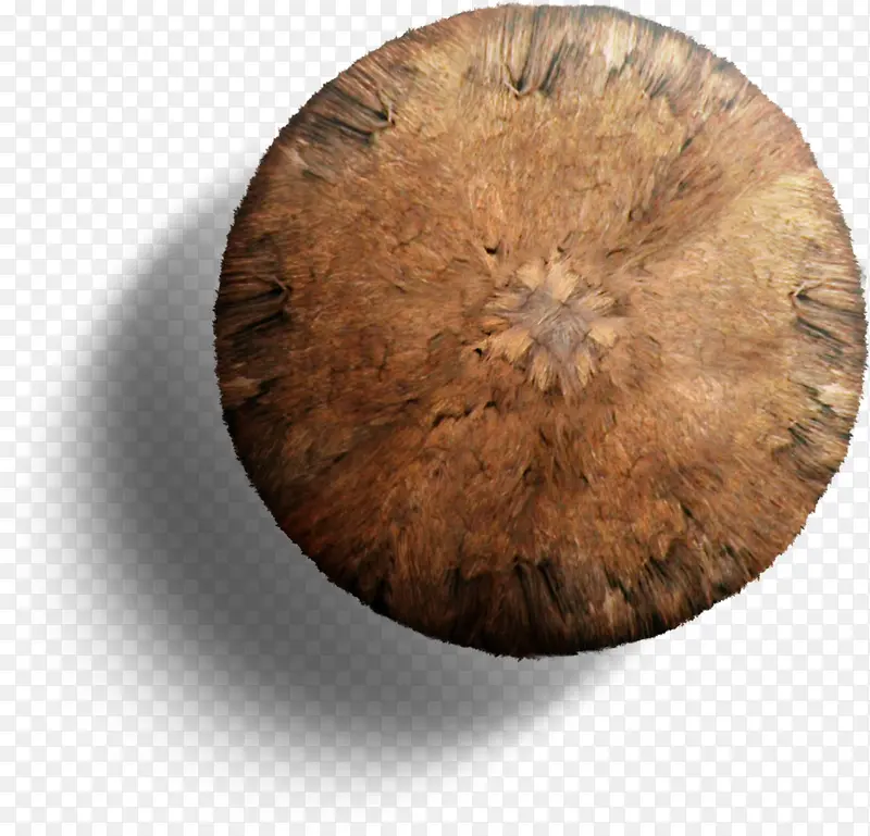 ���߶ȼٴ�ݶ�-������