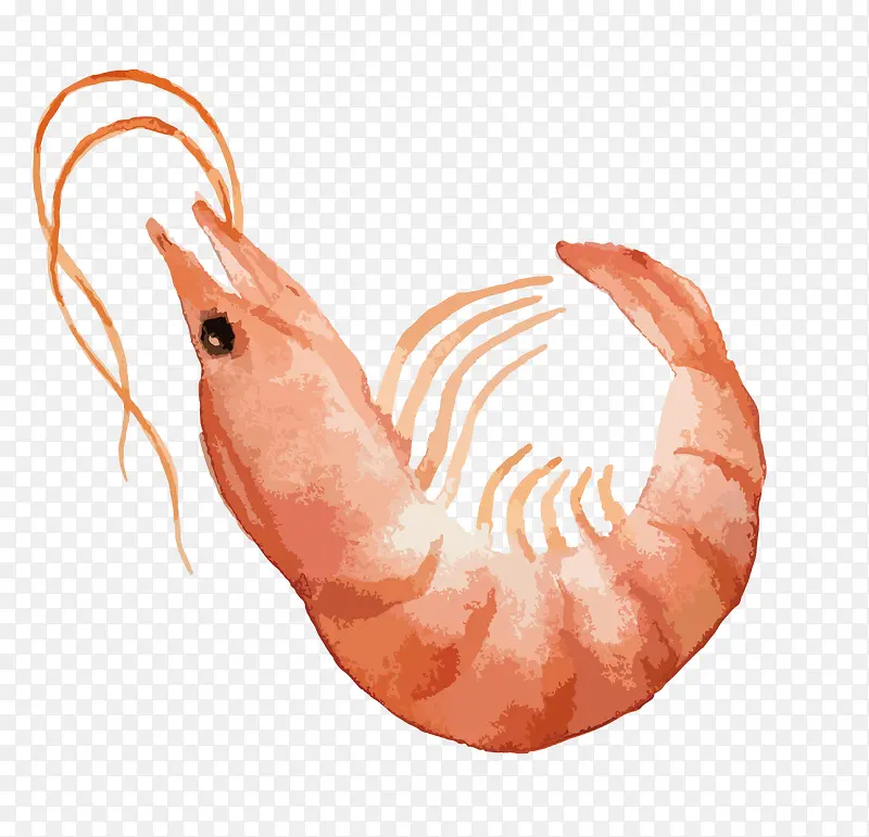 ���մ�Ϻʸ���ز�-������