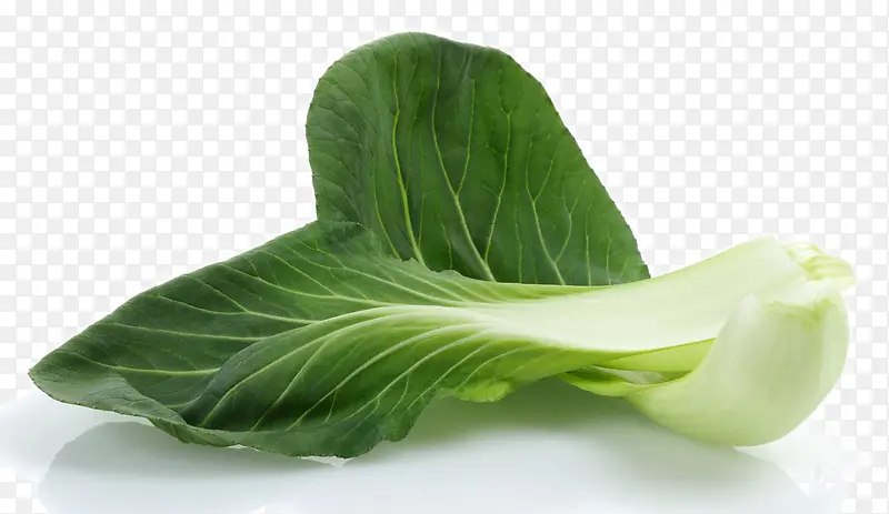 ���ʵ��Ͳ��߲�-������