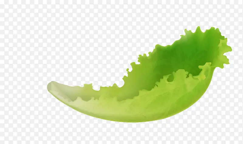 ʸ����ɫ�߲���������Ҷ������Ҷ-������