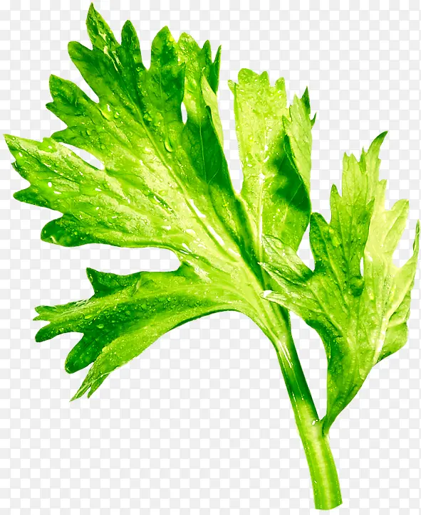 �߲�-������