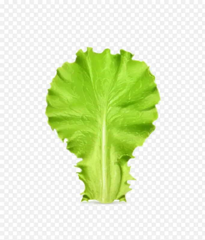 ����Ҷ��-������