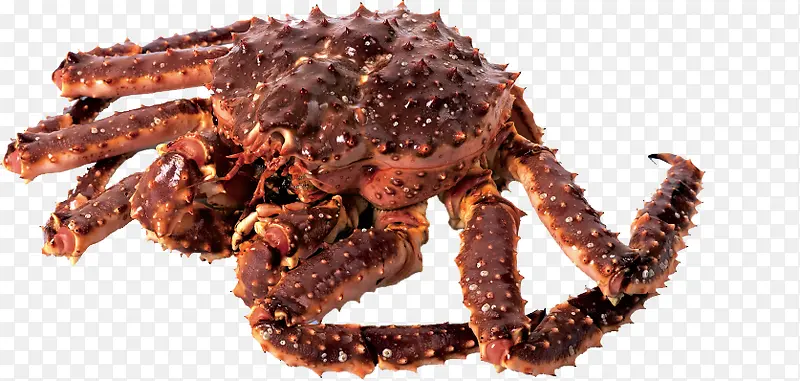 ����ʳ��-������