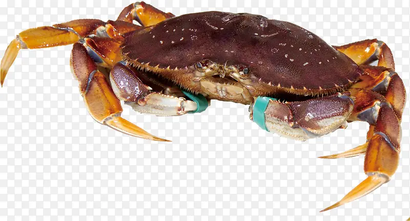 ����ʳ��-������