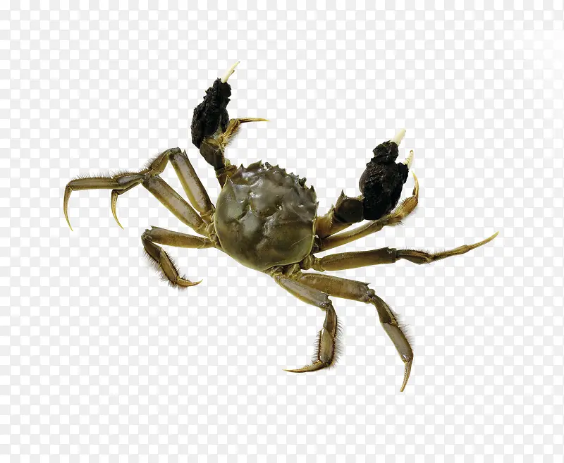 ���ʹ�բз-������