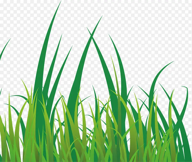 �̲ݽ���װ�μٲ�-������