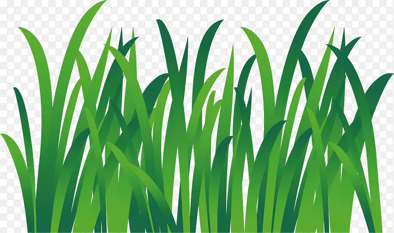 �̲�װ�μٻ��ٲ�-������