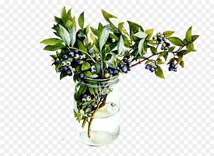 ���������ֲ-������