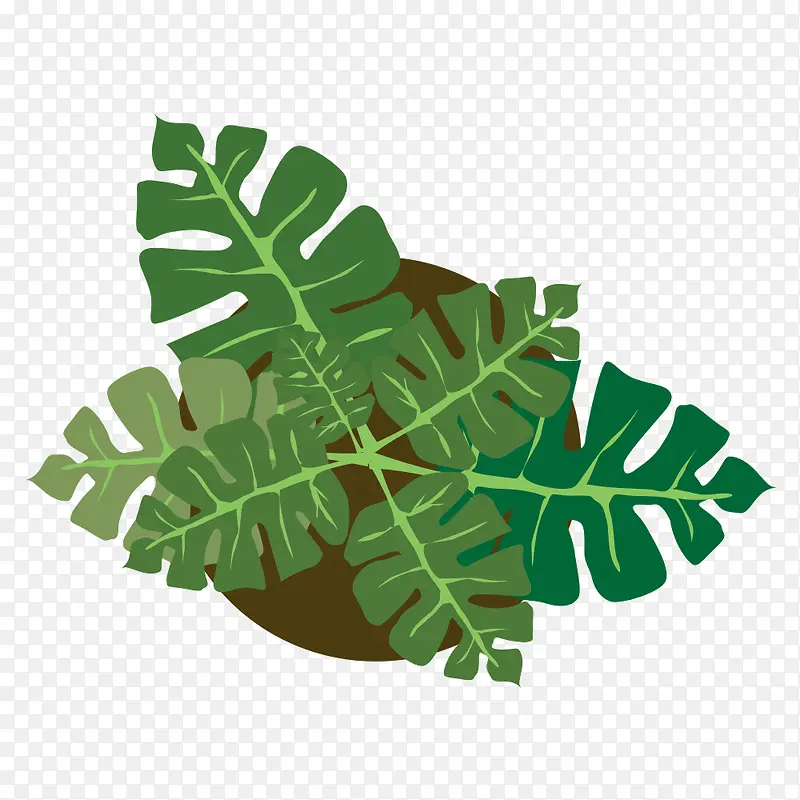 ��ֲ�ز�-������