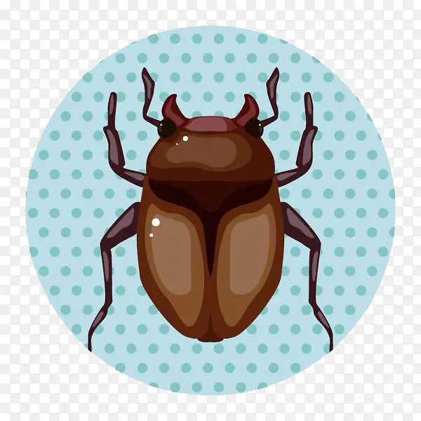 ©���ĳ���������-������