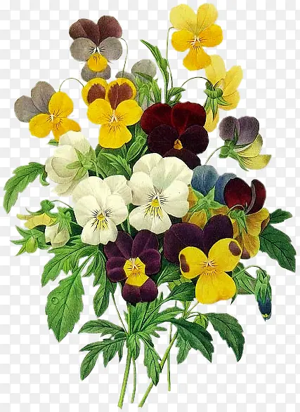 ˮ�ʸ�ɫ����-������