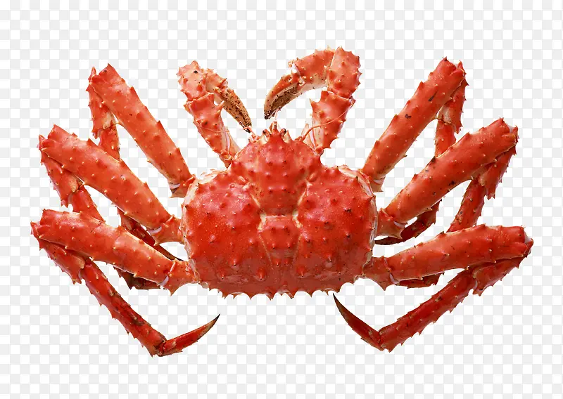 ʳ���зpngͼƬ-������