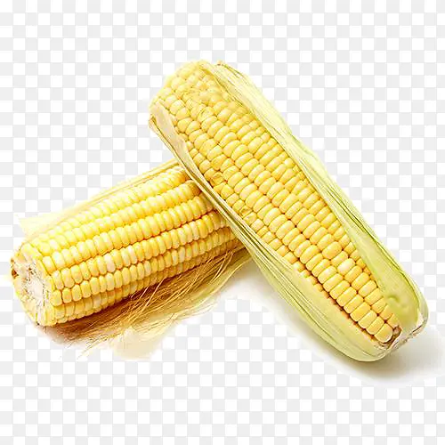 ��Ʒʵ������-������