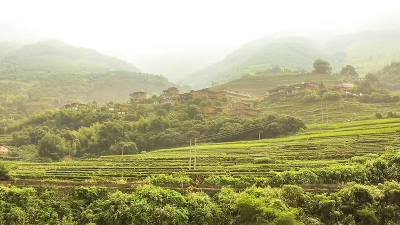 ��������Ұ������-������