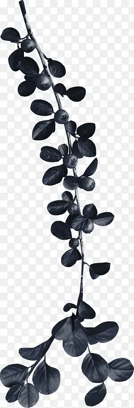 ֲ��-������