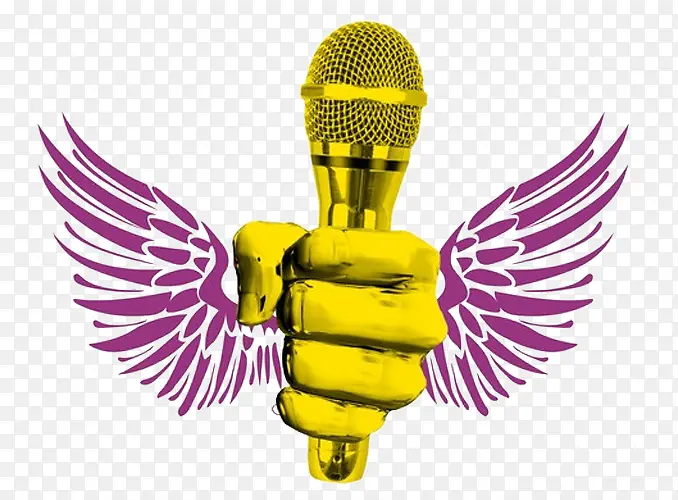 ���ý�ɫ��Ͳ-������