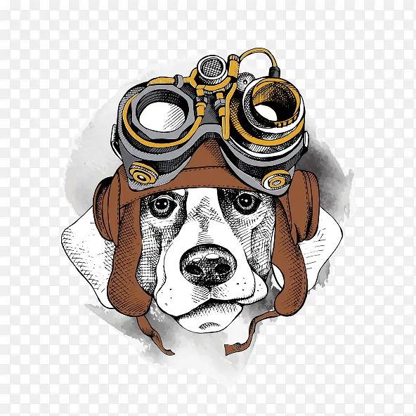 ��ͨʱ�й�ͷ��-������