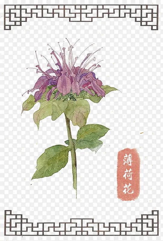 �ֻ污�ɻ�-������