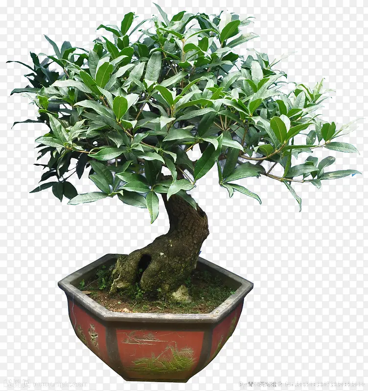 ����-������