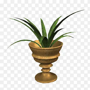 ���Ű��������-������