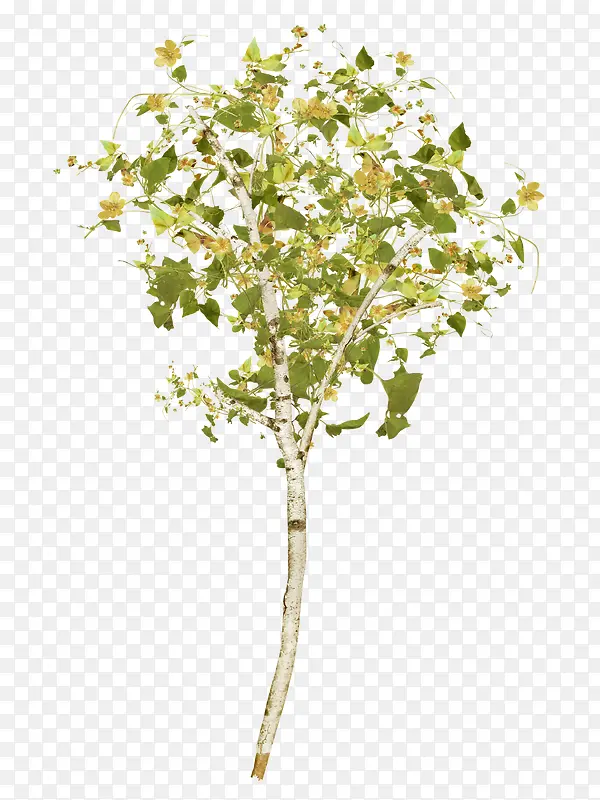 ����-������