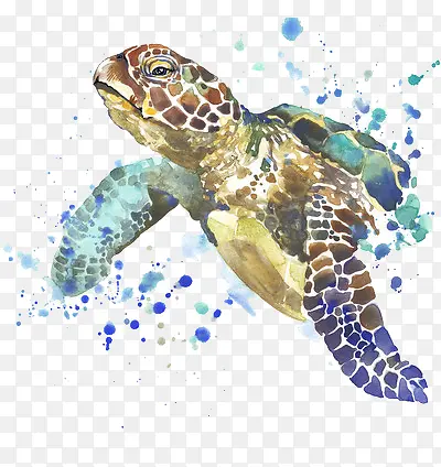 �����ֻ�-������