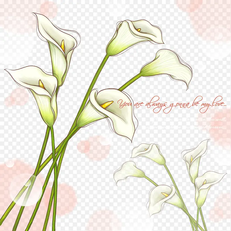 ����������Ƭ�����ز�-������