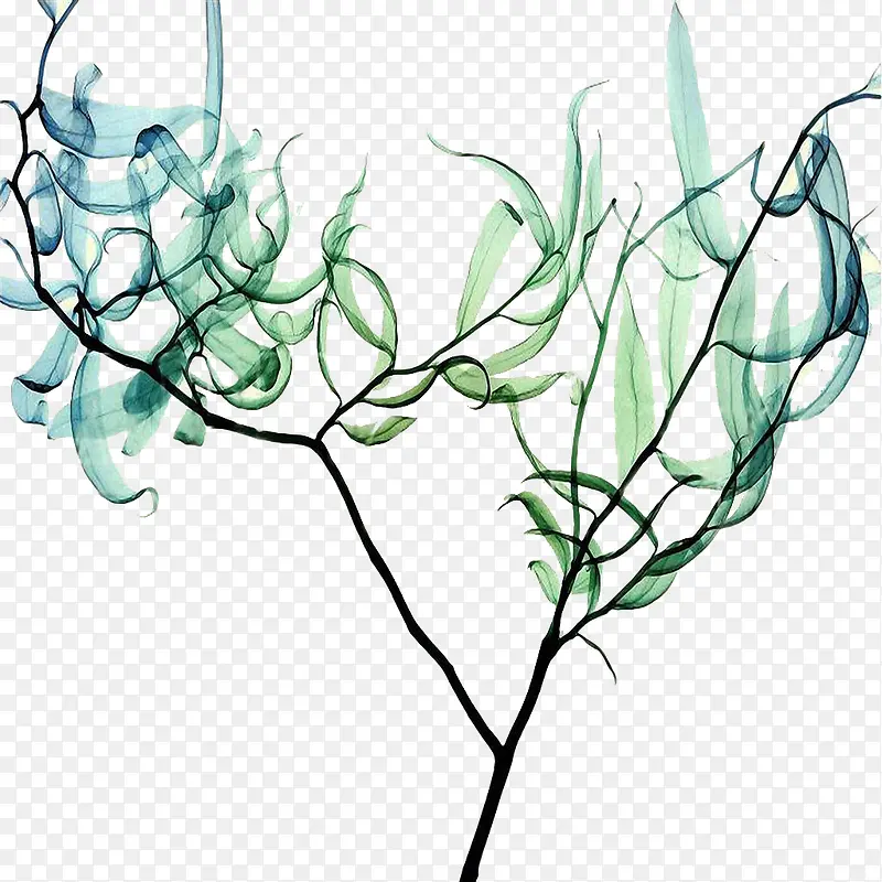 ��֦-������