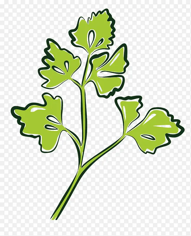 ʸ�����-������