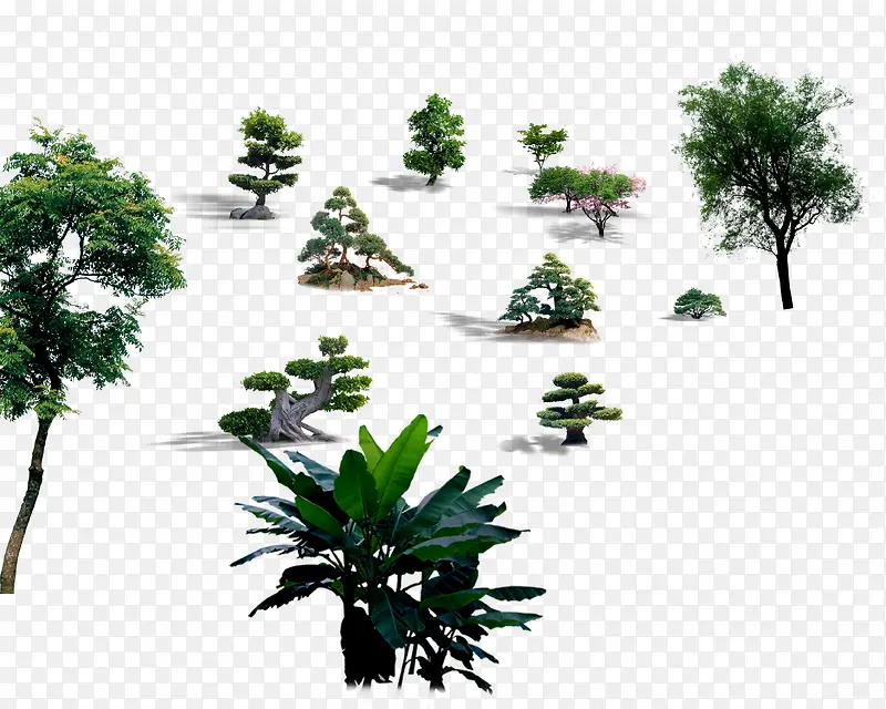 װ�η羰��-������