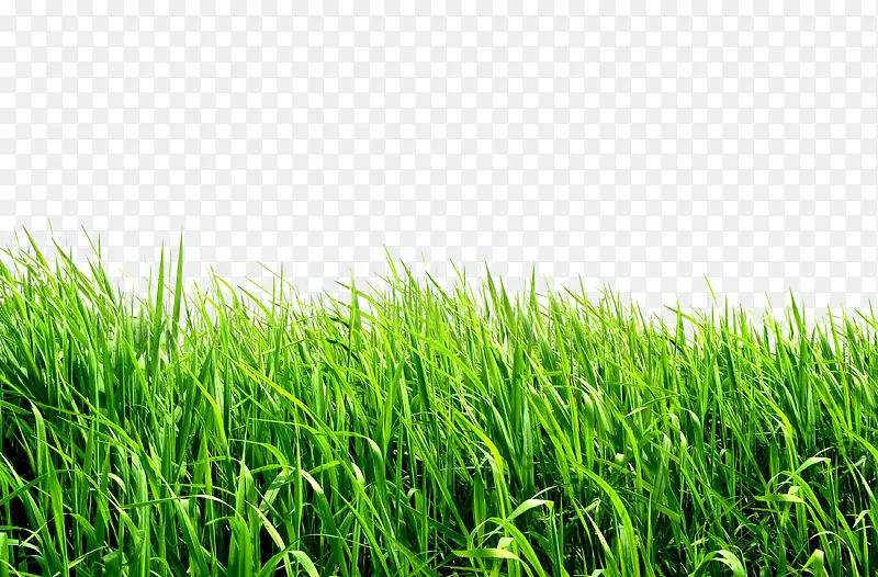 �Ӳ�-������