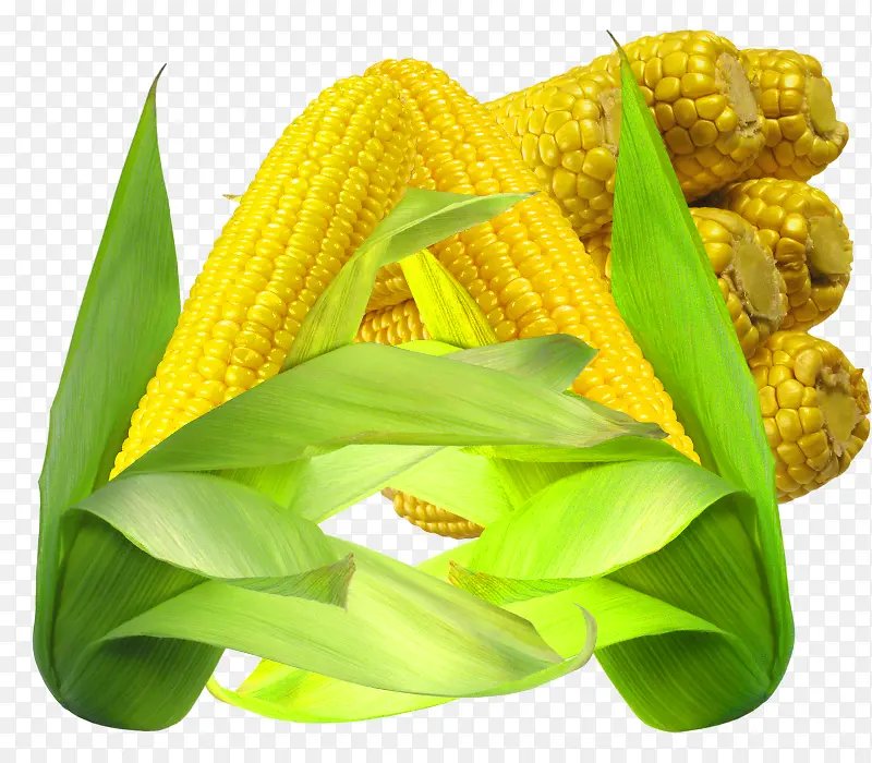 С������ɫ������-������