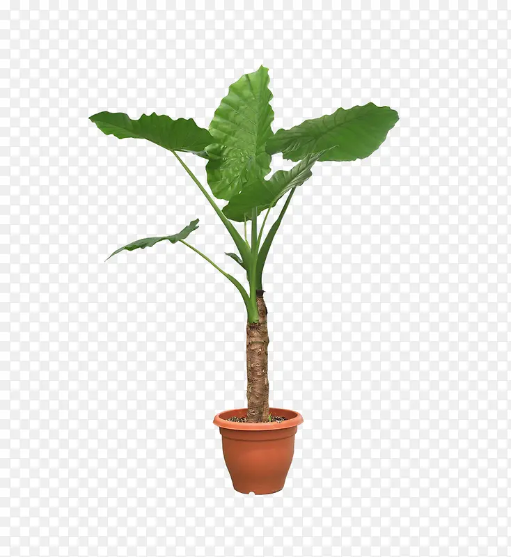 ����������-������