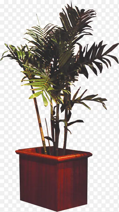 ���Է�����-������