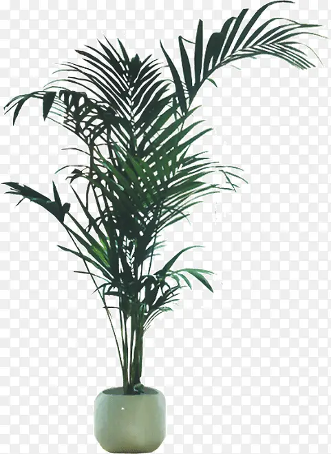 ���ڷ�����-������