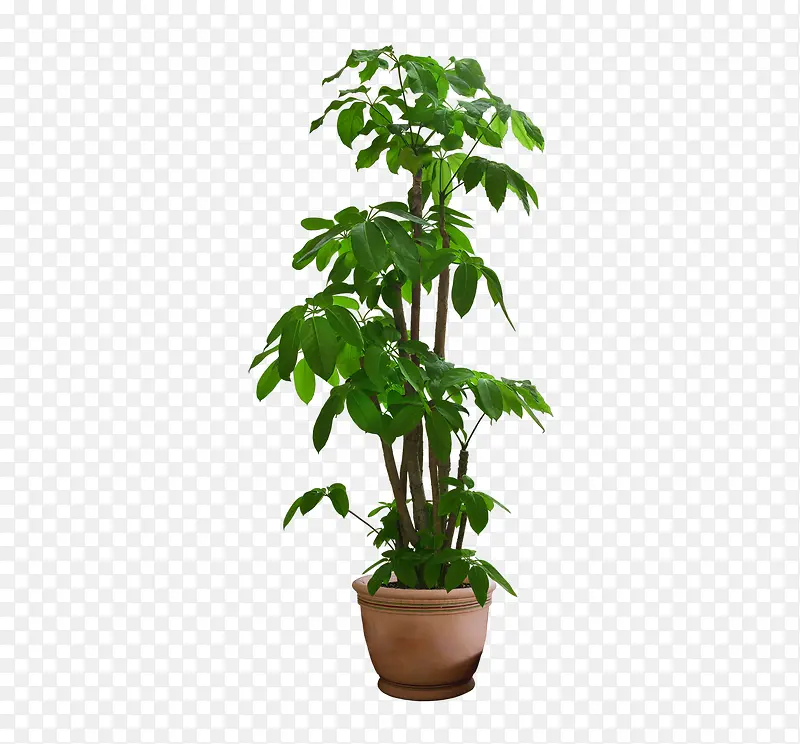 ����������-������