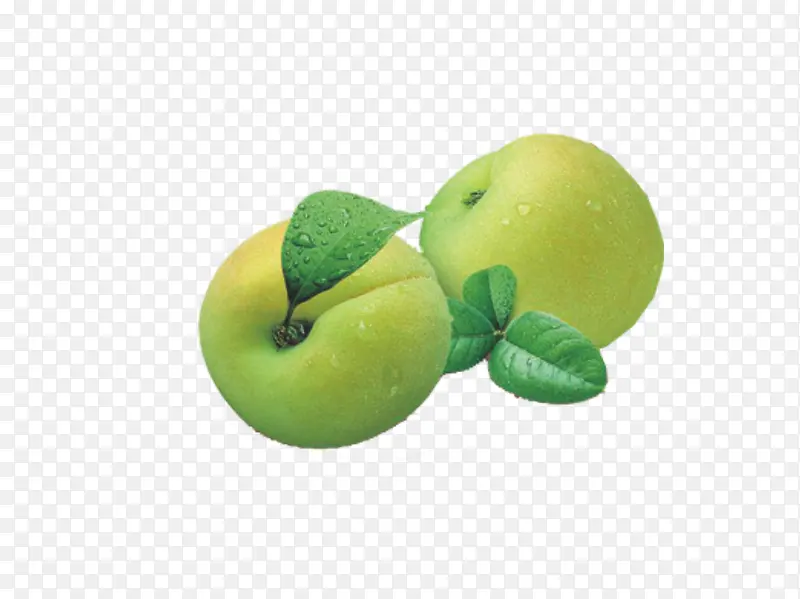 ˮ�� ��÷-������